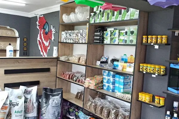 Boss Petshop - Resim 7