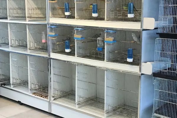 Boss Petshop - Resim 4