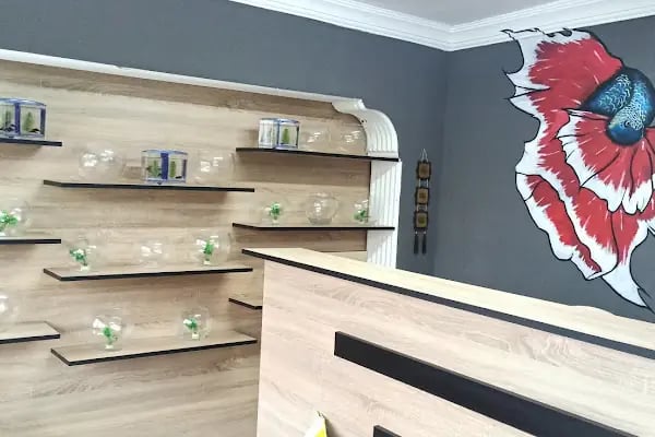 Boss Petshop - Resim 3