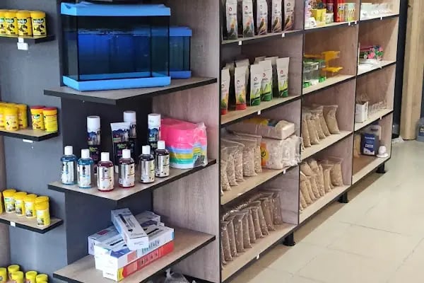 Boss Petshop - Resim 6