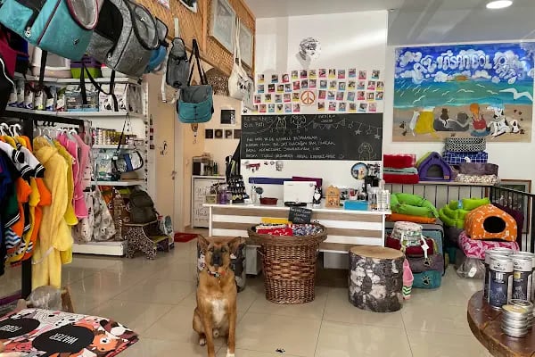 Petiko Shop Cafe - Resim 16