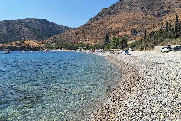 Mazı Çiçek Pansiyon - Resim 4