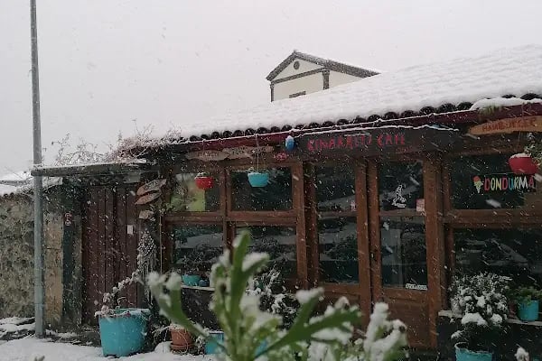 ÇINARALTI CAFE BALKOON - Resim 8