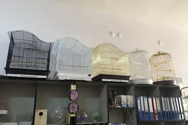 Hobi Pet Shop - Resim 1