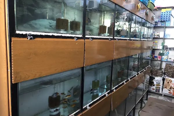 Hobi Pet Shop - Resim 11