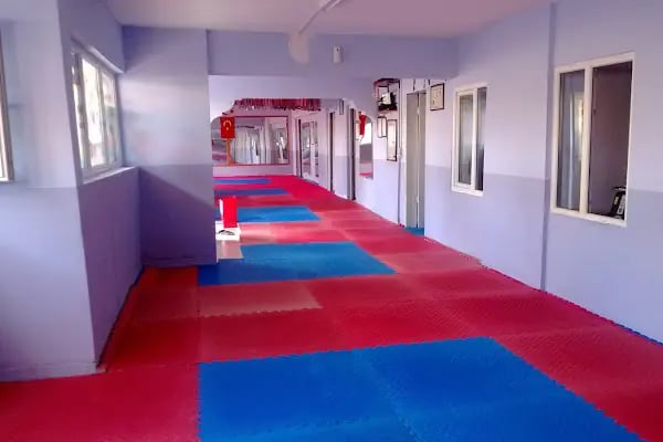 MERTSAN SPOR KULÜBÜ KİCK BOKS Taekwondo - Resim 11