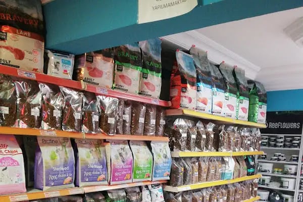 DİSCUS PET AKVARYUM DÜNYASI - Resim 2