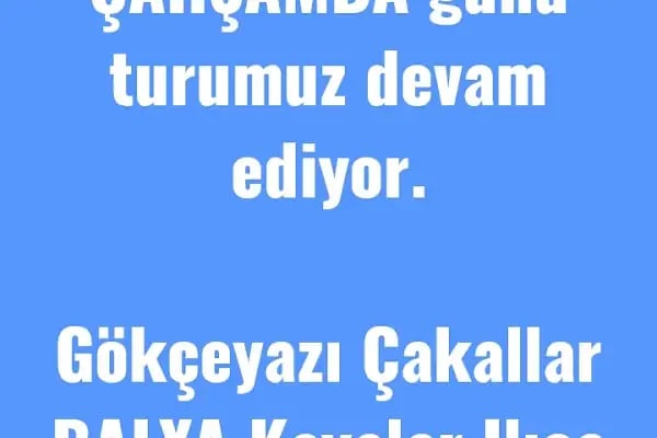 Balıkesir ertugrul hali yikama - Resim 20