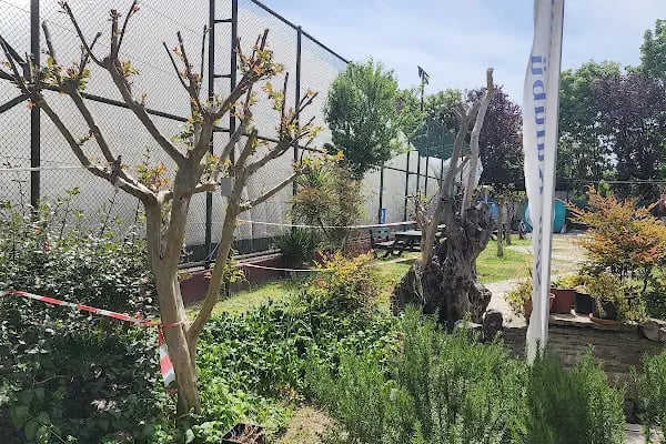 İstanbul Tenis Eğitim Spor Kulübü - Resim 15