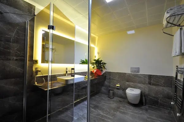 DOUBLE COMFORT HOTEL - Resim 13