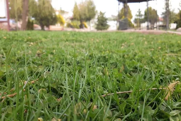 Bağlum Belediyesi Harikalar Diyarı Çocuk Parkı - Resim 20