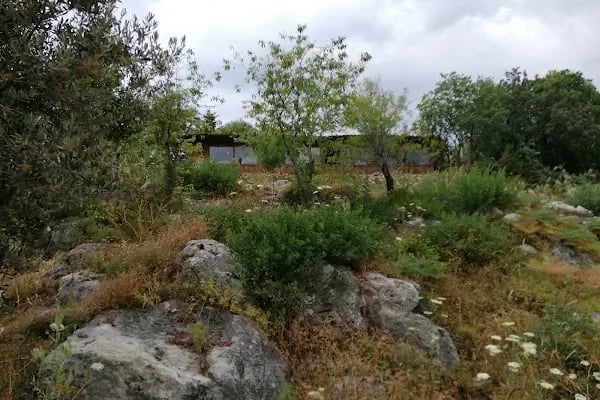Aydoğan Cafe - Resim 12