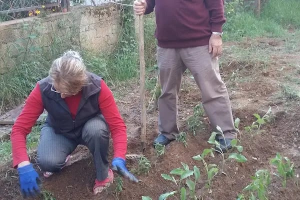 Alanya Belediyesi Kurt Safir Çocuk Parkı - Resim 4