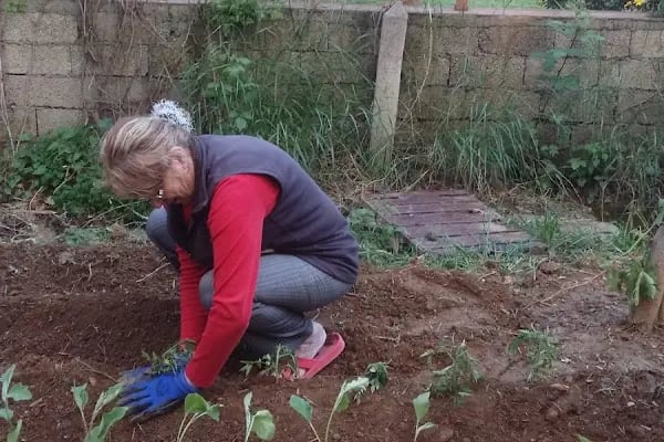 Alanya Belediyesi Kurt Safir Çocuk Parkı - Resim 16