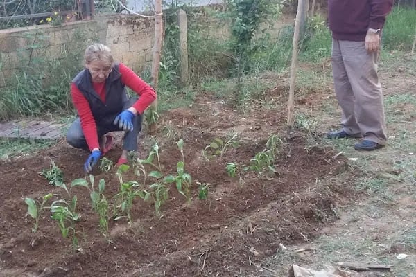 Alanya Belediyesi Kurt Safir Çocuk Parkı - Resim 15