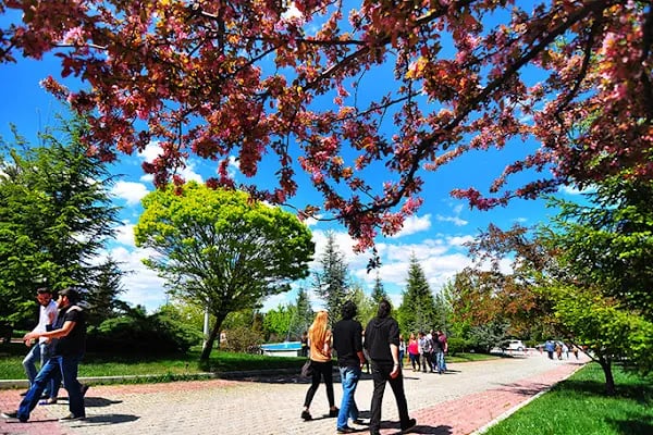 Başkent Üniversitesi - Resim 6