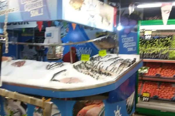 Tahtakale Spot Alanya Şubesi - Resim 5