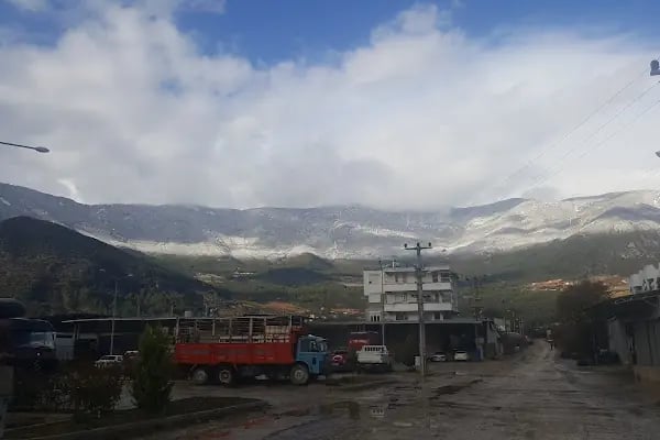 Turunçova Hali - Resim 1