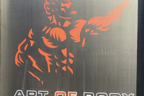 Art Of Body Gym - Resim 15