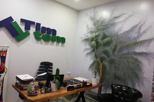 TimTem - Resim 1