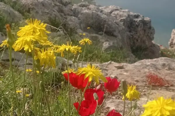 Halfeti Seyir Tepesi - Resim 5