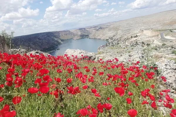Halfeti Seyir Tepesi - Resim 11