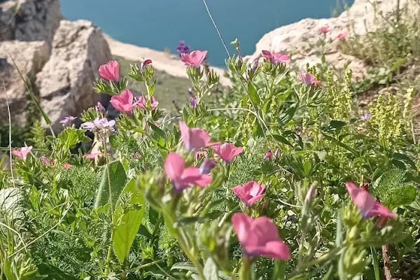 Halfeti Seyir Tepesi - Resim 6