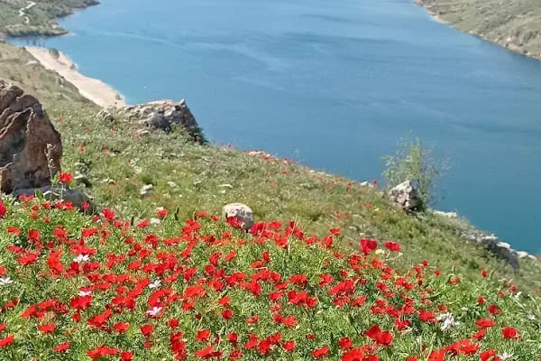Halfeti Seyir Tepesi - Resim 7