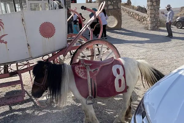 Halfeti Seyir Tepesi - Resim 20