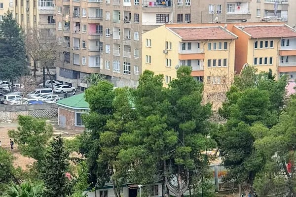 foto damla - Resim 2