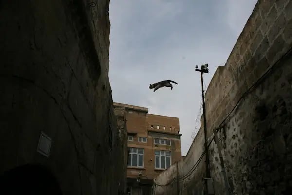 foto damla - Resim 1