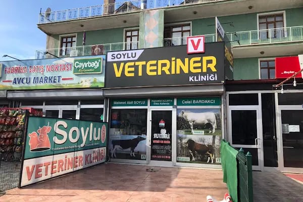 Soylu Veteriner Klinigi - Resim 1