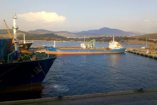 TCEEGE Konteyner Terminal İşletmeleri A.Ş. - Resim 14