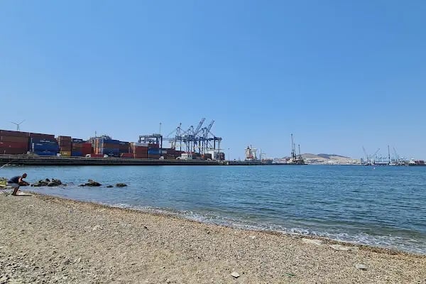 TCEEGE Konteyner Terminal İşletmeleri A.Ş. - Resim 10