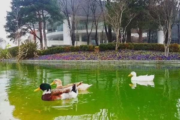 Atatürk Kongre Kültür Merkezi Merinos Parkı B Kapısı - Resim 16