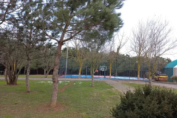 Zekeriyaköy Spor Kulübü - Resim 10
