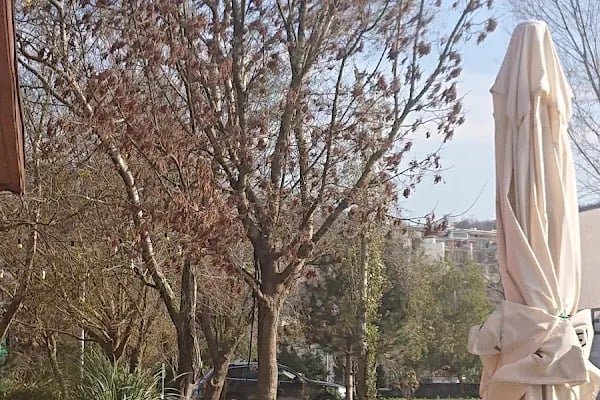 Zekeriyaköy Spor Kulübü - Resim 17