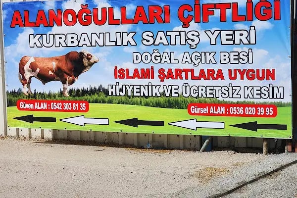 Alanoğulları Çiftliği - Resim 3
