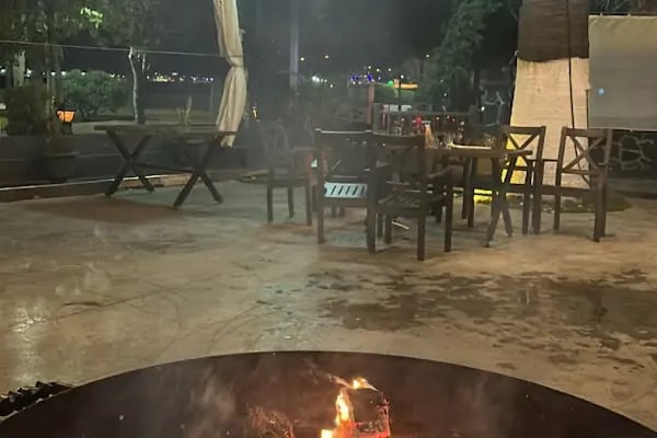 Palm Restoran - Resim 7