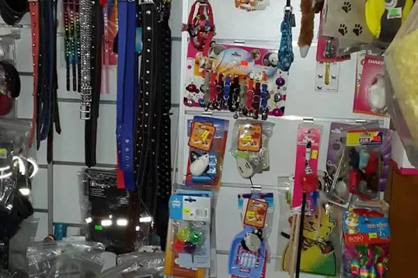 OKYANUS PETSHOP - Resim 16