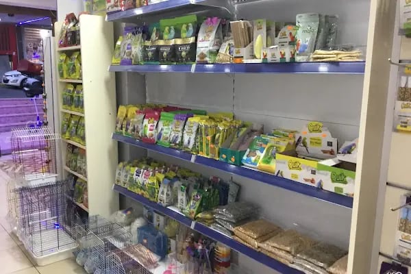 OKYANUS PETSHOP - Resim 18