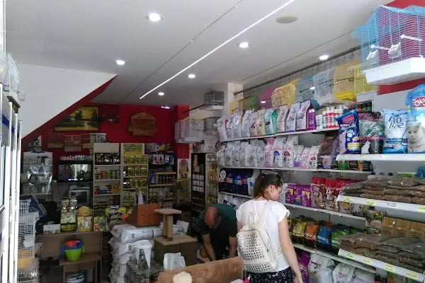 OKYANUS PETSHOP - Resim 5