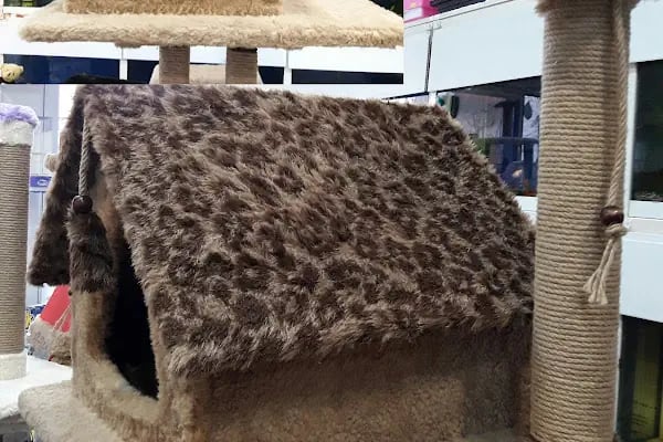 OKYANUS PETSHOP - Resim 19