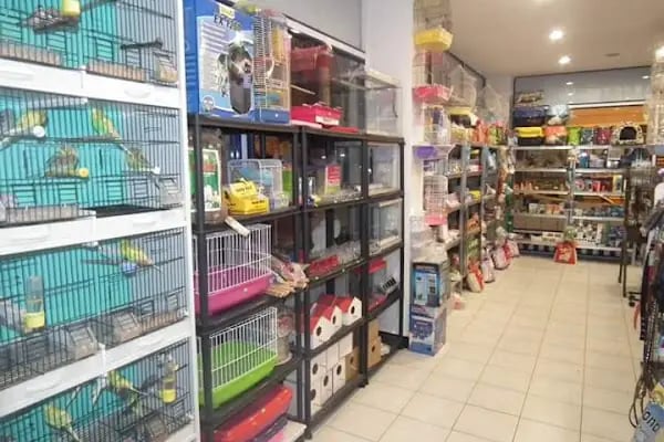OKYANUS PETSHOP - Resim 11