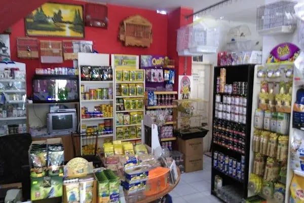OKYANUS PETSHOP - Resim 13