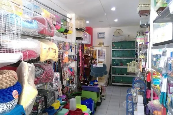 OKYANUS PETSHOP - Resim 6