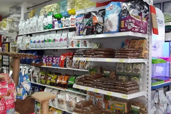 OKYANUS PETSHOP - Resim 8