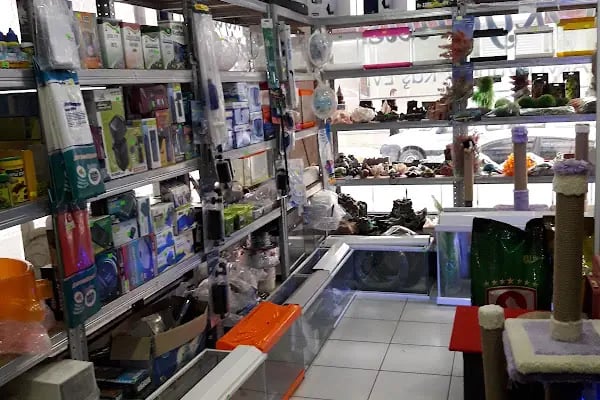 OKYANUS PETSHOP - Resim 2