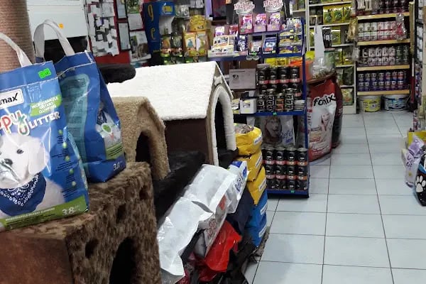 OKYANUS PETSHOP - Resim 4