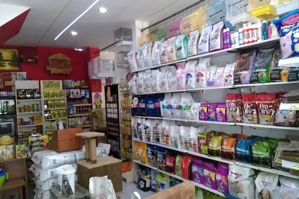 OKYANUS PETSHOP - Resim 7
